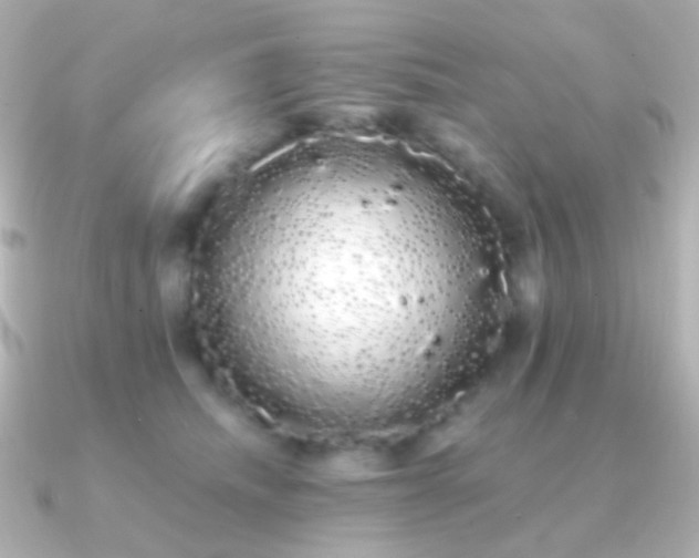 X0000091240468200708091438