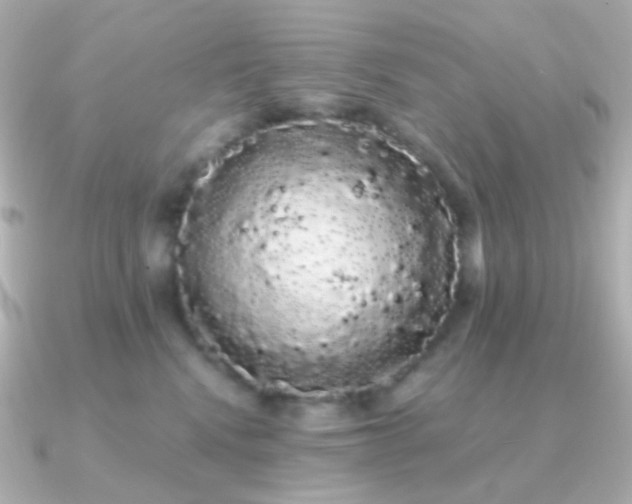 X0000091240472200708091438