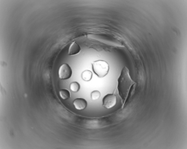 X0000091240473200708091438