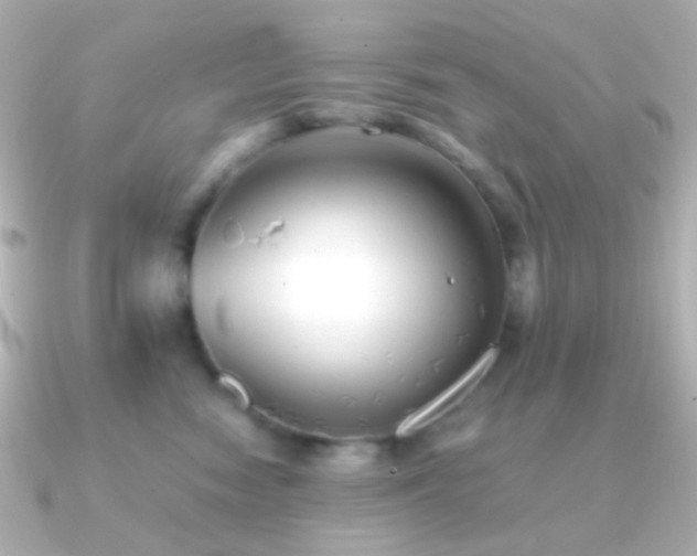 X0000091240474200708091438