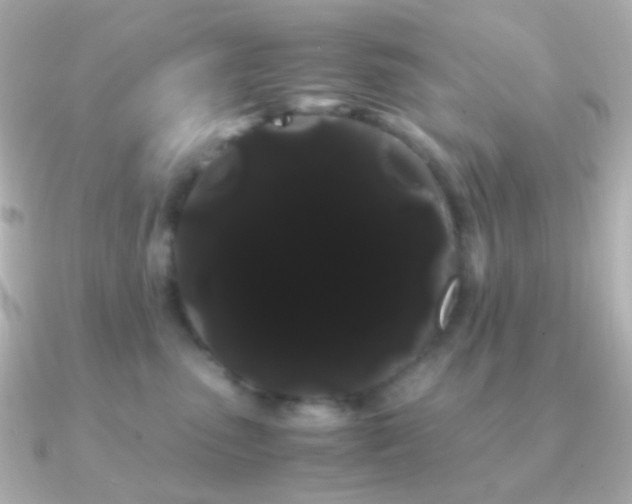X0000091240475200708091438