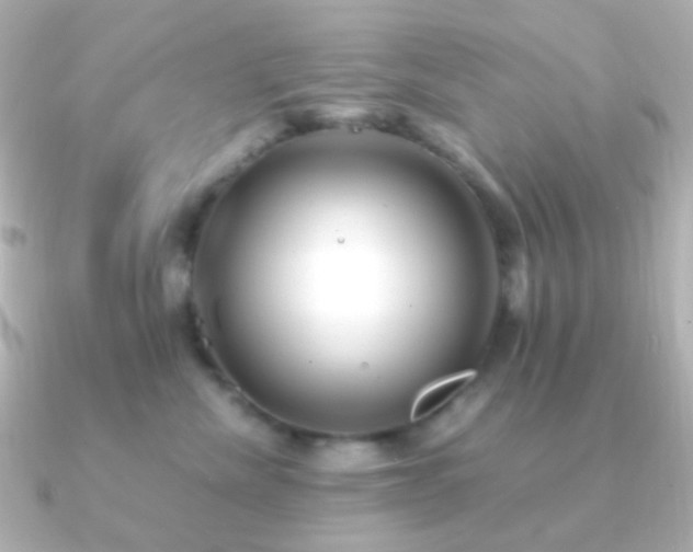 X0000091240476200708091438