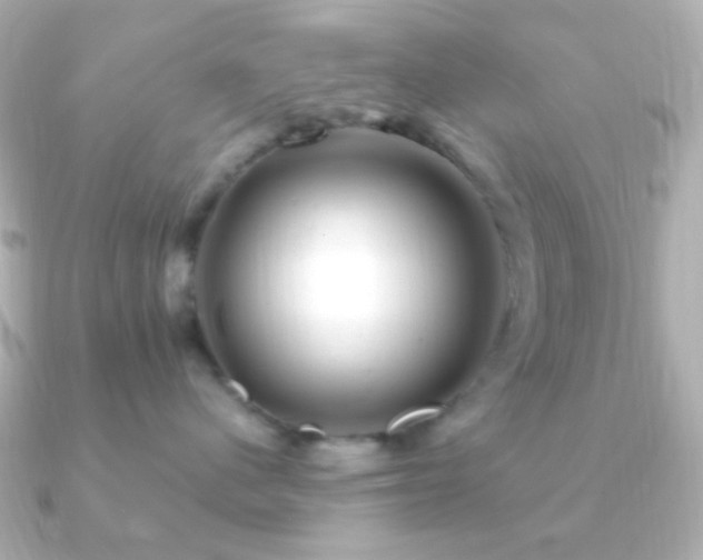 X0000091240480200708091439