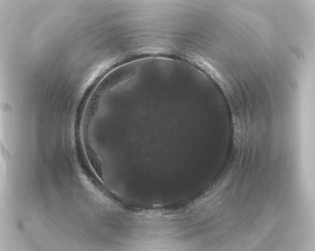 X0000091240482200708091438
