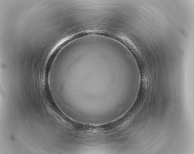 X0000091240484200708091438