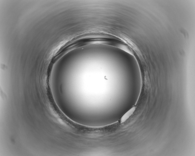 X0000091240485200708091438