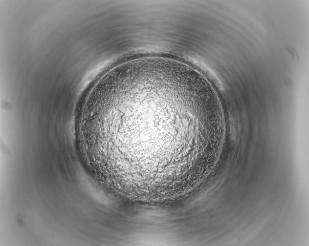X0000091240486200708091438