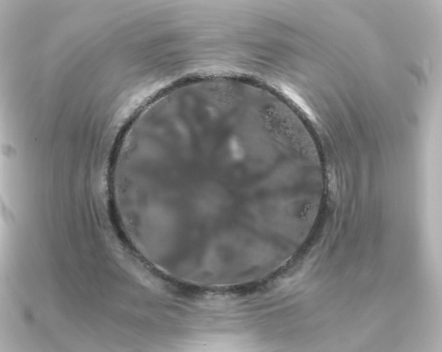 X0000091240487200708091438
