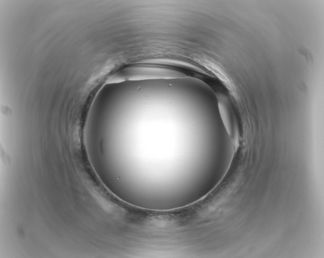 X0000091240489200708091438