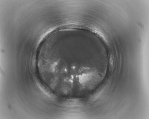 X0000091240492200708091438