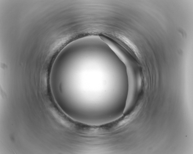 X0000091240493200708091438