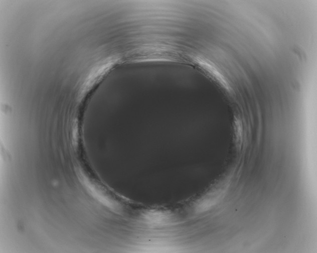 X0000091240494200708091438