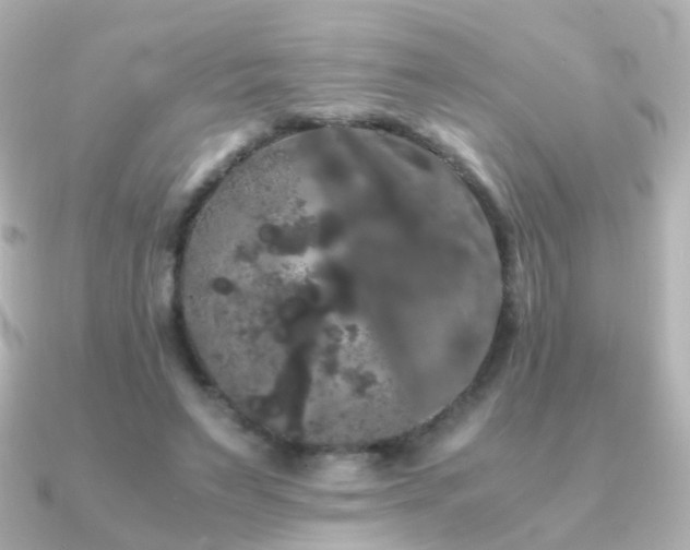 X0000091240495200708091438