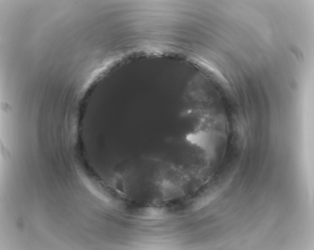 X0000091240496200708091438