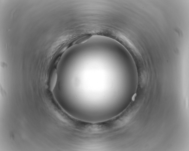 X0000091240497200708091438