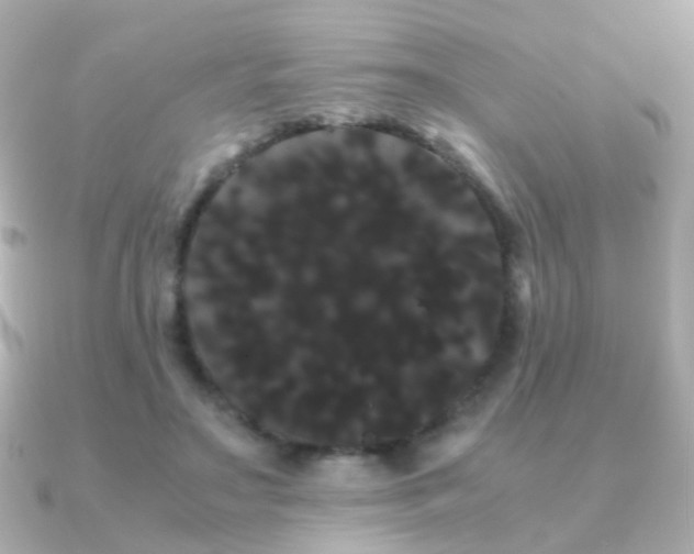 X0000091240499200708091438