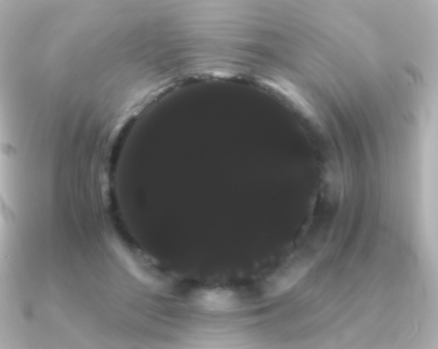 X0000091240500200708091438