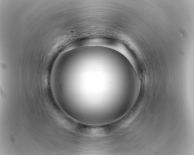 X0000091240501200708091438