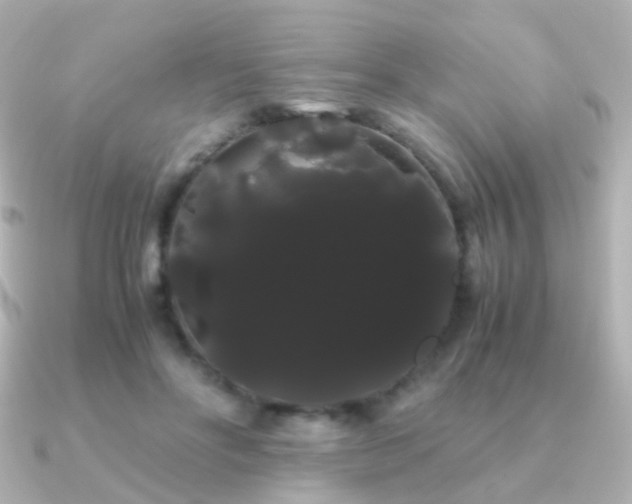 X0000091240502200708091438