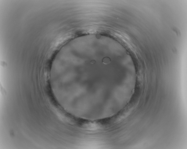 X0000091240503200708091438