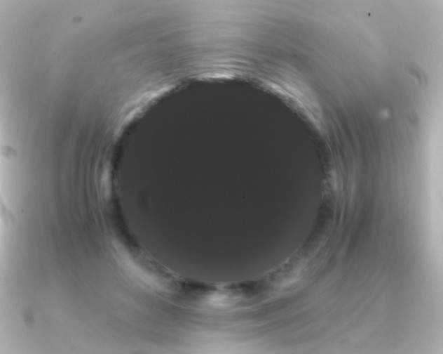 X0000091240504200708091438