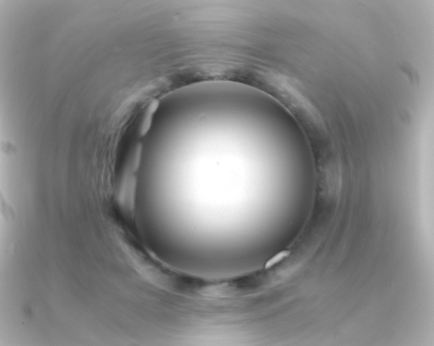 X0000091240505200708091438