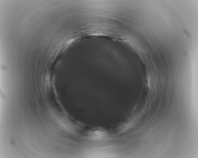 X0000091240506200708091438