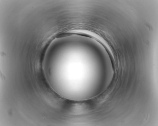 X0000091240508200708091438