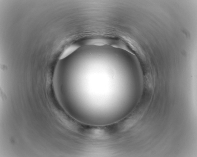 X0000091240509200708091438