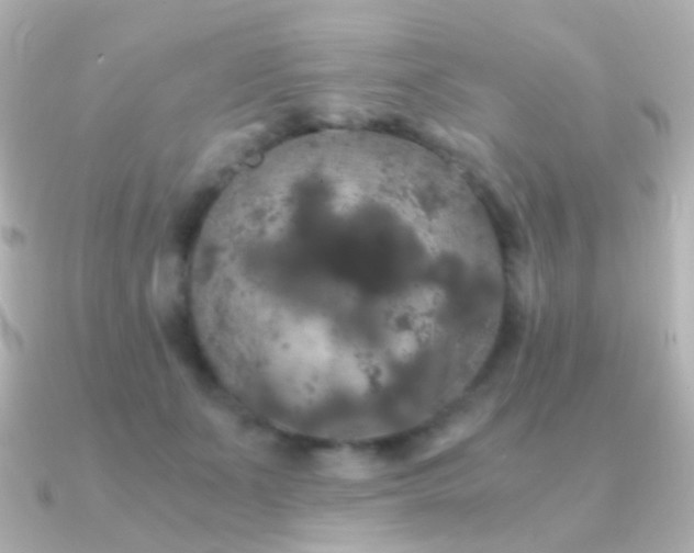 X0000091240511200708091438