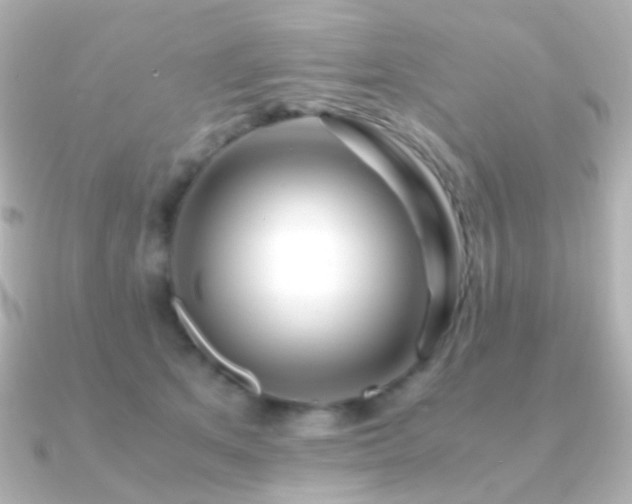 X0000091240513200708091438