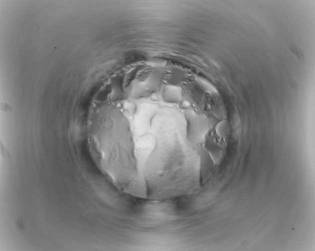 X0000091240515200708091438