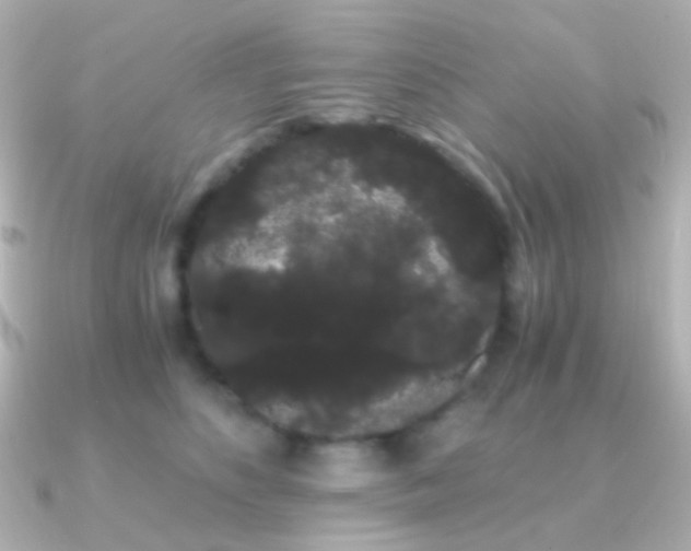 X0000091240516200708091438