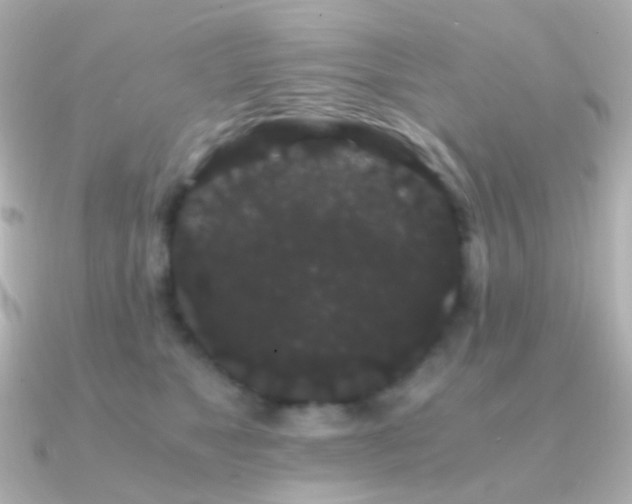 X0000091240517200708091438