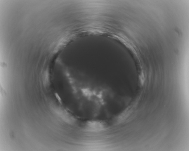 X0000091240520200708091438