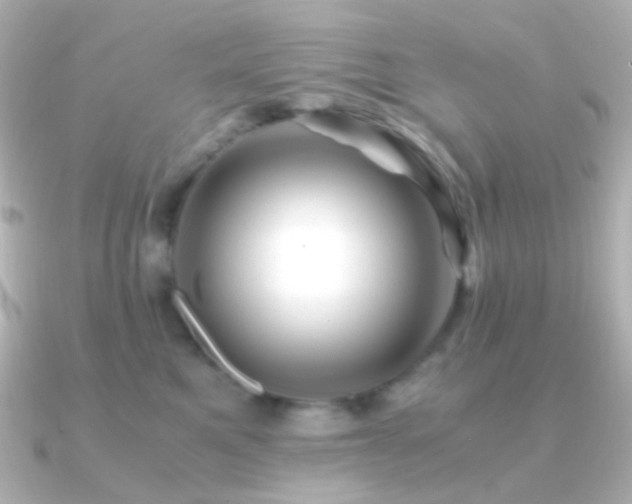 X0000091240521200708091438