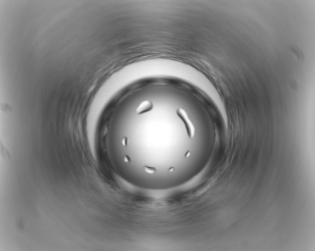 X0000091240524200708091437