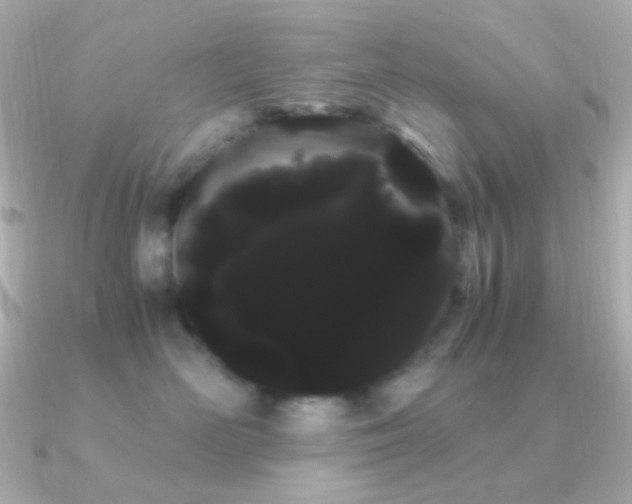 X0000091240526200708091437