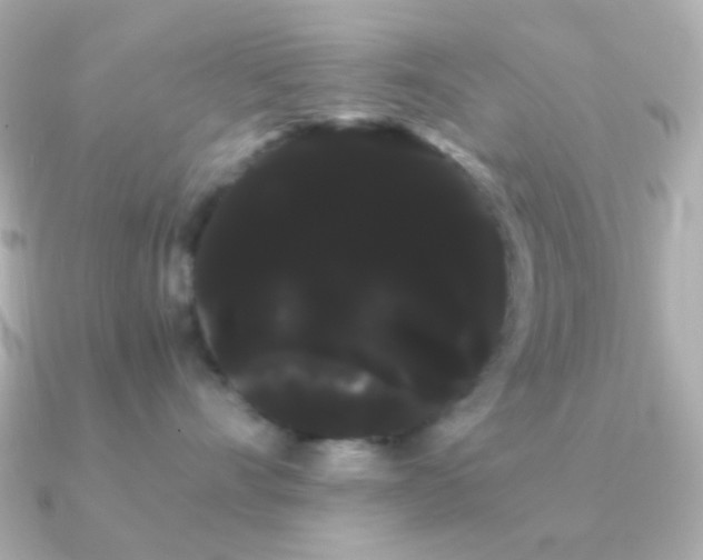 X0000091240528200708091437