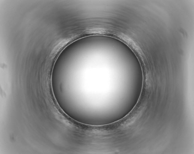 X0000091240529200708091437