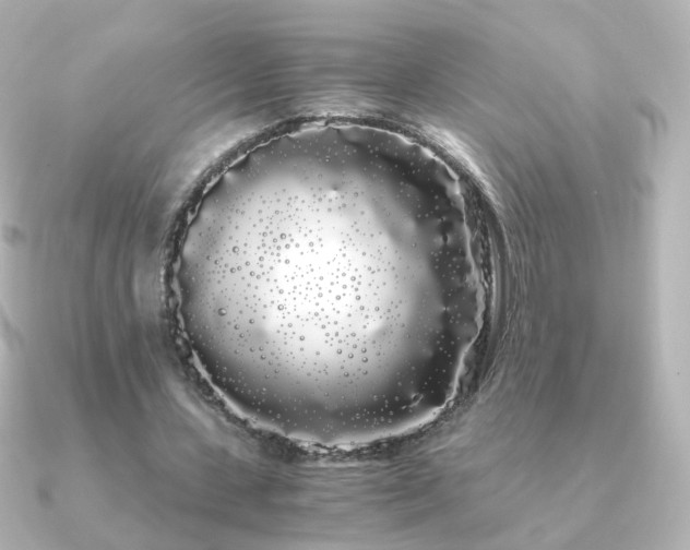 X0000091240531200708091437