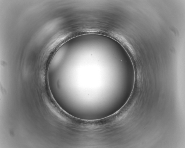 X0000091240533200708091437