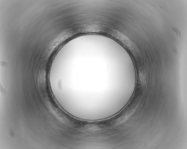 X0000091240534200708091437
