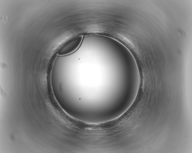 X0000091240535200708091437