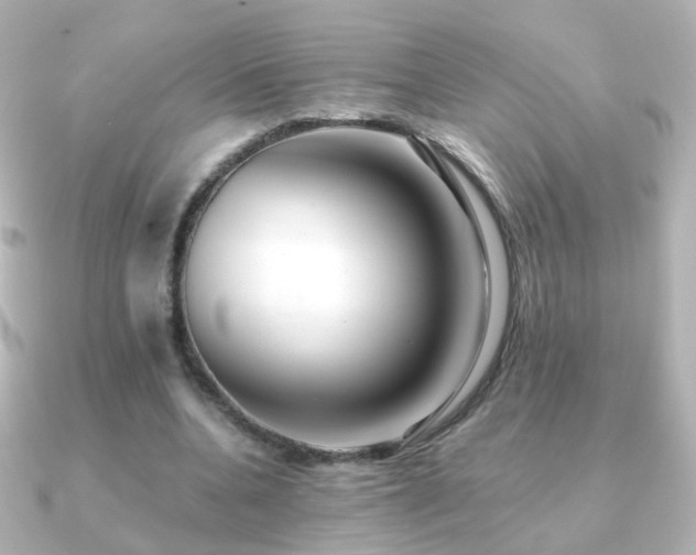 X0000091240536200708091437