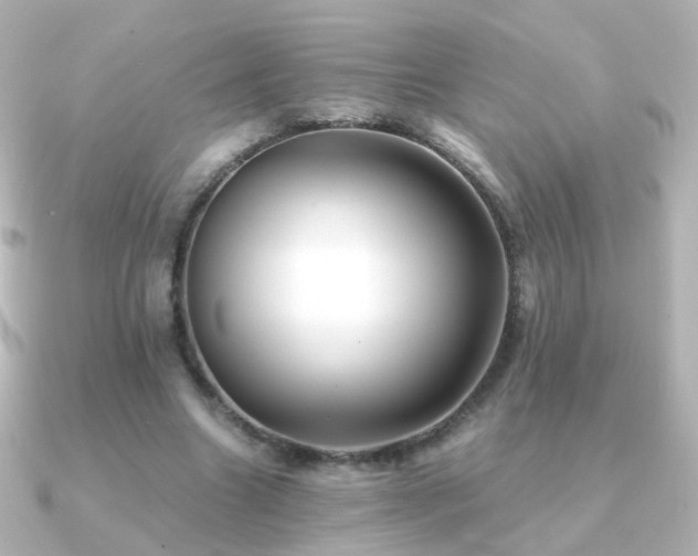 X0000091240538200708091437