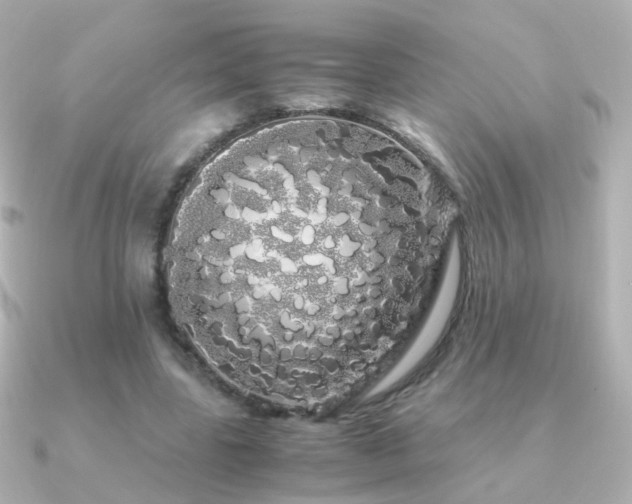 X0000091240539200708091437