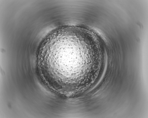 X0000091240540200708091437