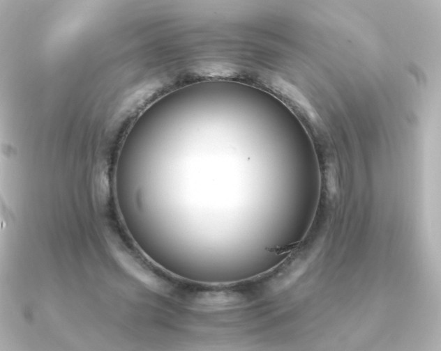 X0000091240541200708091437