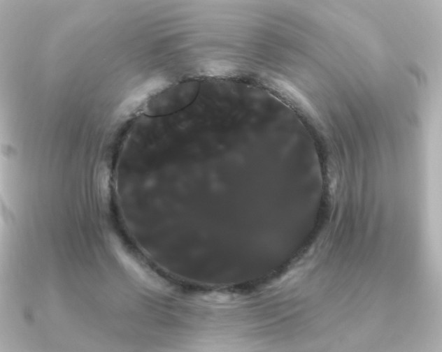 X0000091240542200708091437